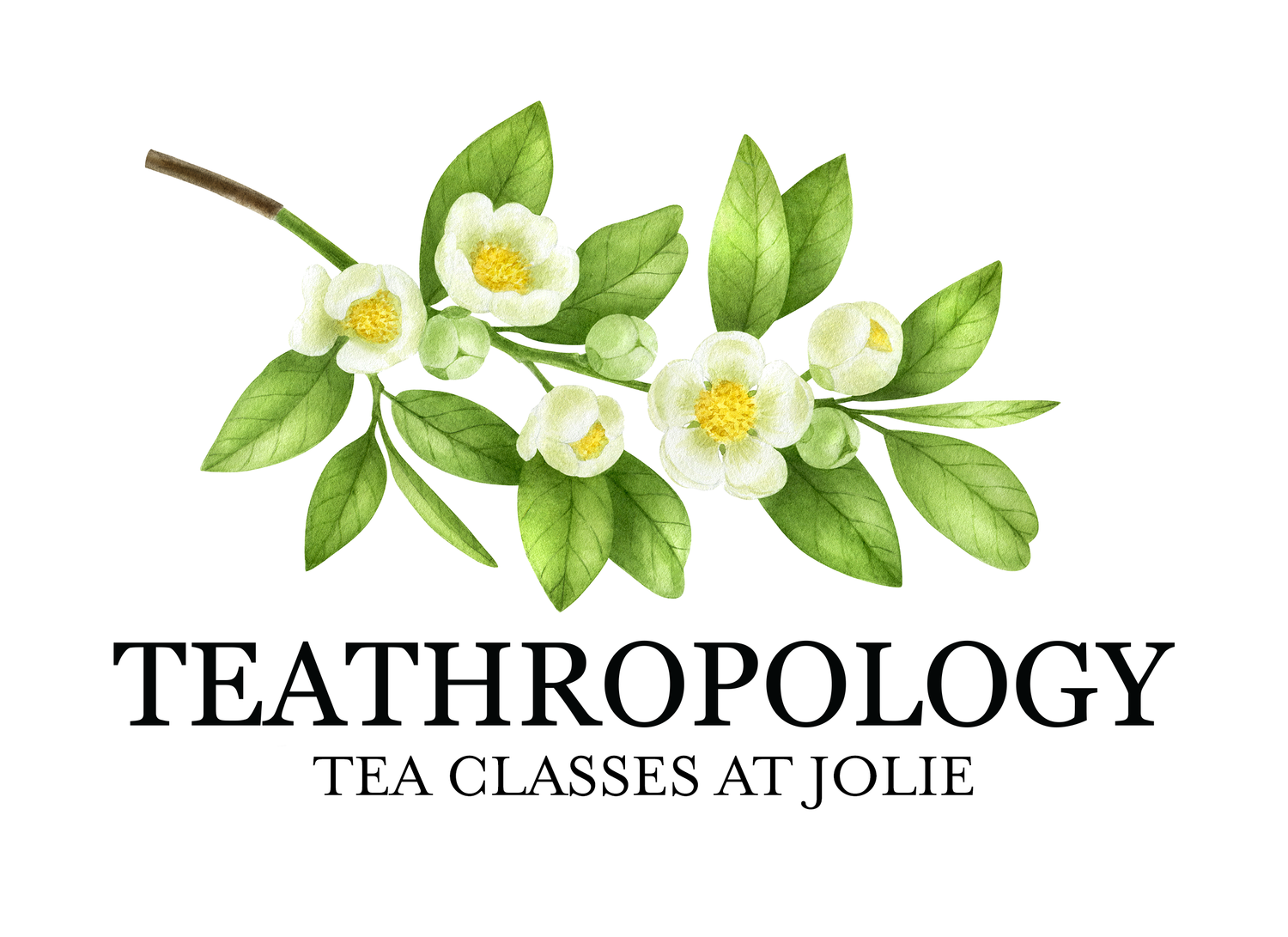 New! Tea Classes at Jolie